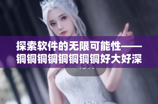 探索軟件的無限可能性——銅銅銅銅銅銅銅銅好大好深板