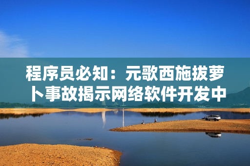 程序員必知：元歌西施拔蘿卜事故揭示網(wǎng)絡(luò)軟件開(kāi)發(fā)中的重要教訓(xùn)