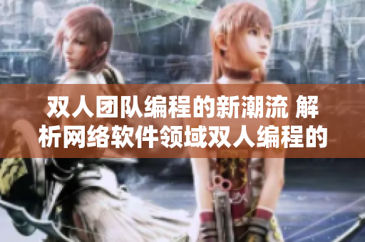 雙人團(tuán)隊(duì)編程的新潮流 解析網(wǎng)絡(luò)軟件領(lǐng)域雙人編程的獨(dú)特優(yōu)勢(shì)