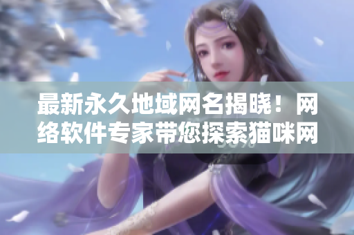 最新永久地域網(wǎng)名揭曉！網(wǎng)絡軟件專家?guī)剿髫堖渚W(wǎng)名新世界