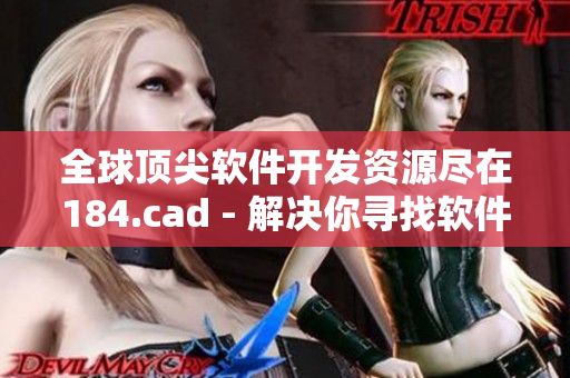 全球頂尖軟件開發(fā)資源盡在184.cad - 解決你尋找軟件開發(fā)者難題