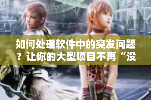 如何處理軟件中的突發(fā)問題？讓你的大型項目不再“沒遮陰”
