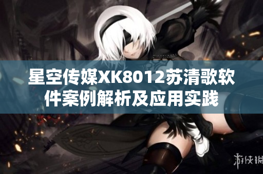 星空傳媒XK8012蘇清歌軟件案例解析及應(yīng)用實踐