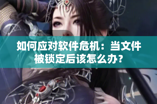 如何應(yīng)對軟件危機：當(dāng)文件被鎖定后該怎么辦？