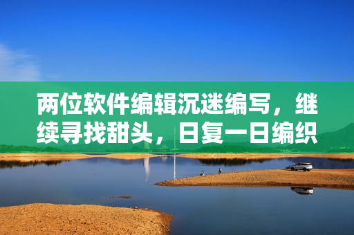 兩位軟件編輯沉迷編寫，繼續(xù)尋找甜頭，日復(fù)一日編織佳作
