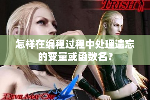 怎樣在編程過程中處理遺忘的變量或函數(shù)名？