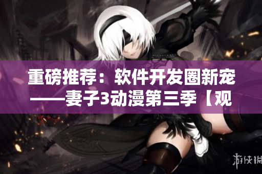 重磅推薦：軟件開發(fā)圈新寵——妻子3動(dòng)漫第三季【觀后感】