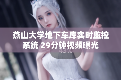 燕山大學(xué)地下車庫實(shí)時(shí)監(jiān)控系統(tǒng) 29分鐘視頻曝光