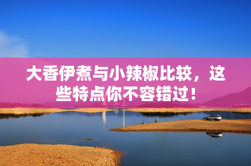 大香伊煮與小辣椒比較，這些特點你不容錯過！