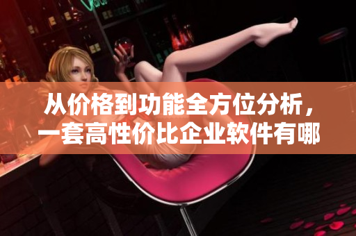 從價格到功能全方位分析，一套高性價比企業(yè)軟件有哪些？