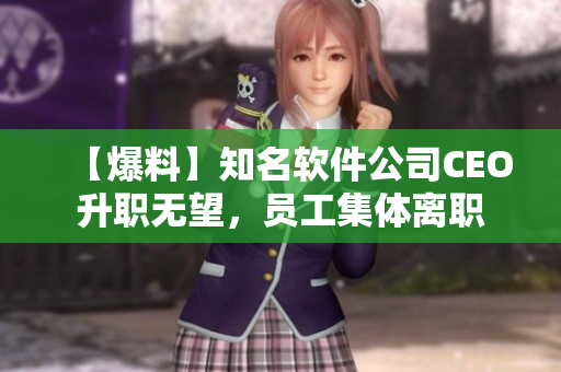 【爆料】知名軟件公司CEO升職無望，員工集體離職