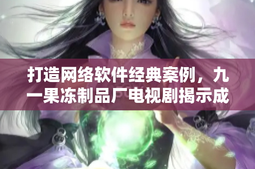 打造網(wǎng)絡(luò)軟件經(jīng)典案例，九一果凍制品廠電視劇揭示成功秘訣