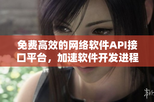 免費(fèi)高效的網(wǎng)絡(luò)軟件API接口平臺(tái)，加速軟件開(kāi)發(fā)進(jìn)程
