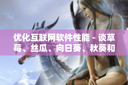 優(yōu)化互聯(lián)網(wǎng)軟件性能 - 談草莓、絲瓜、向日葵、秋葵和茄子之間的啟示