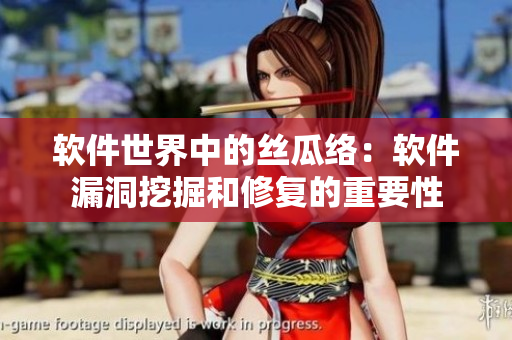 軟件世界中的絲瓜絡(luò)：軟件漏洞挖掘和修復(fù)的重要性
