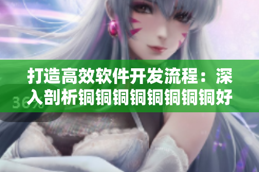 打造高效軟件開發(fā)流程：深入剖析銅銅銅銅銅銅銅銅好大好深板