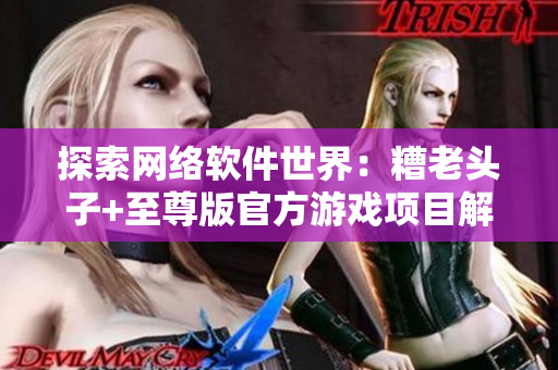 探索網(wǎng)絡(luò)軟件世界：糟老頭子+至尊版官方游戲項(xiàng)目解析