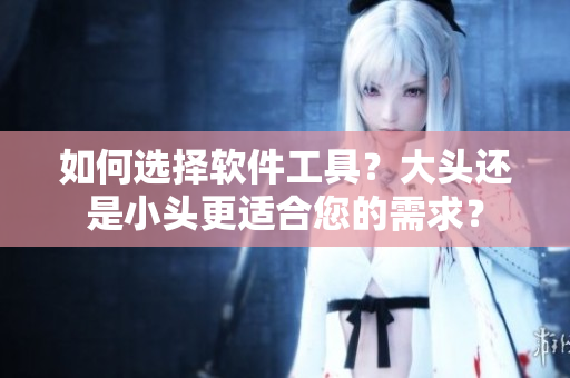 如何選擇軟件工具？大頭還是小頭更適合您的需求？