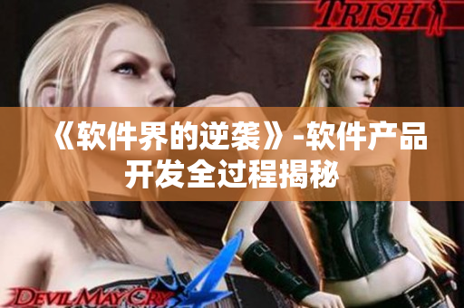 《軟件界的逆襲》-軟件產(chǎn)品開發(fā)全過程揭秘