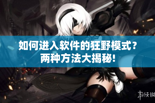 如何進入軟件的狂野模式？兩種方法大揭秘!
