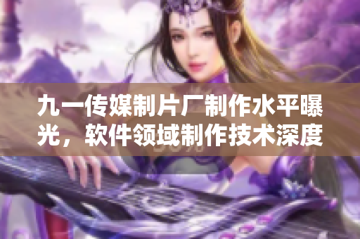 九一傳媒制片廠制作水平曝光，軟件領(lǐng)域制作技術(shù)深度解析