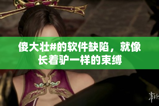 傻大壯#的軟件缺陷，就像長著驢一樣的束縛