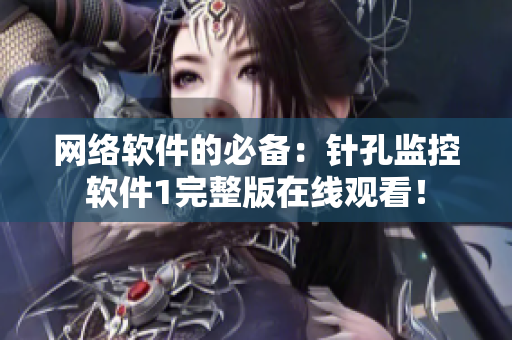 網(wǎng)絡(luò)軟件的必備：針孔監(jiān)控軟件1完整版在線觀看！