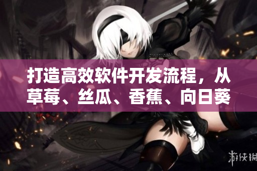 打造高效軟件開發(fā)流程，從草莓、絲瓜、香蕉、向日葵到留言全方位解析