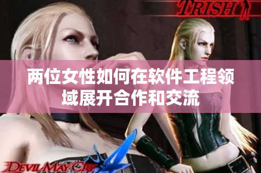 兩位女性如何在軟件工程領域展開合作和交流