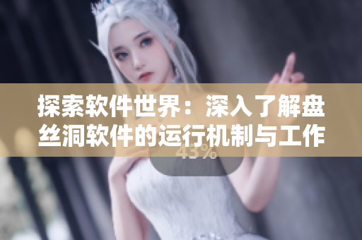 探索軟件世界：深入了解盤絲洞軟件的運(yùn)行機(jī)制與工作原理