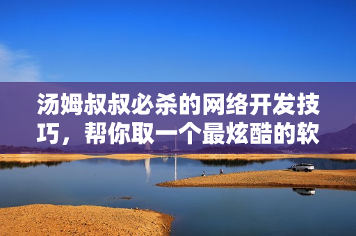 湯姆叔叔必殺的網(wǎng)絡(luò)開發(fā)技巧，幫你取一個最炫酷的軟件名!