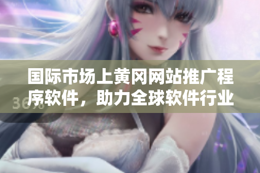 國際市場上黃岡網(wǎng)站推廣程序軟件，助力全球軟件行業(yè)發(fā)展