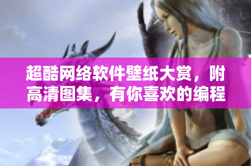 超酷網絡軟件壁紙大賞，附高清圖集，有你喜歡的編程設計風格！