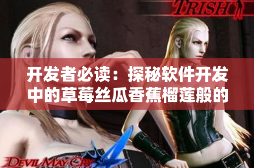 開發(fā)者必讀：探秘軟件開發(fā)中的草莓絲瓜香蕉榴蓮般的技術(shù)組合