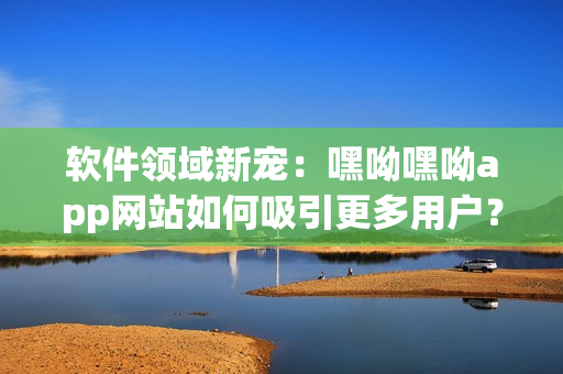軟件領(lǐng)域新寵：嘿呦嘿呦app網(wǎng)站如何吸引更多用戶？