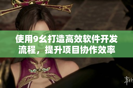 使用9幺打造高效軟件開發(fā)流程，提升項(xiàng)目協(xié)作效率
