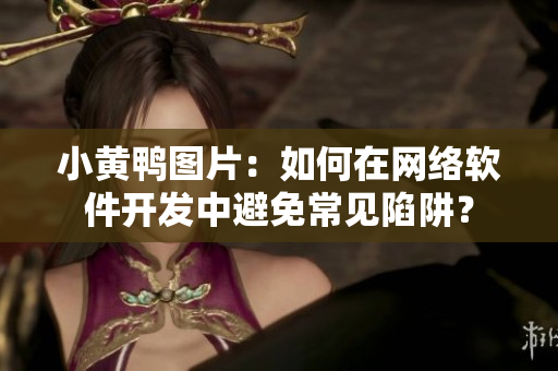 小黃鴨圖片：如何在網(wǎng)絡(luò)軟件開發(fā)中避免常見陷阱？