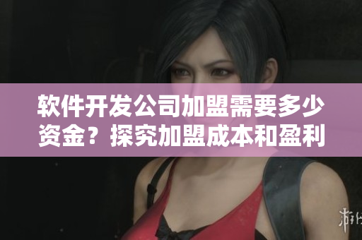 軟件開發(fā)公司加盟需要多少資金？探究加盟成本和盈利前景