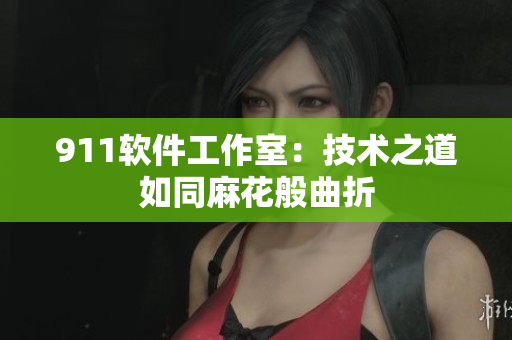 911軟件工作室：技術(shù)之道如同麻花般曲折