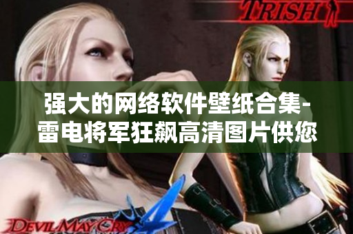 強(qiáng)大的網(wǎng)絡(luò)軟件壁紙合集-雷電將軍狂飆高清圖片供您免費(fèi)下載和使用