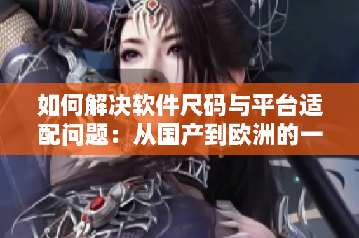如何解決軟件尺碼與平臺適配問題：從國產到歐洲的一次實踐