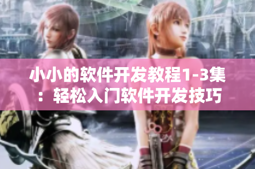小小的軟件開發(fā)教程1-3集：輕松入門軟件開發(fā)技巧