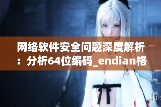 網(wǎng)絡(luò)軟件安全問(wèn)題深度解析：分析64位編碼_endian格式的漏洞源頭