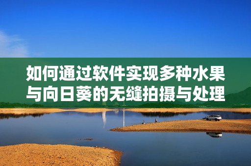 如何通過軟件實現(xiàn)多種水果與向日葵的無縫拍攝與處理？分享留言中最佳方法