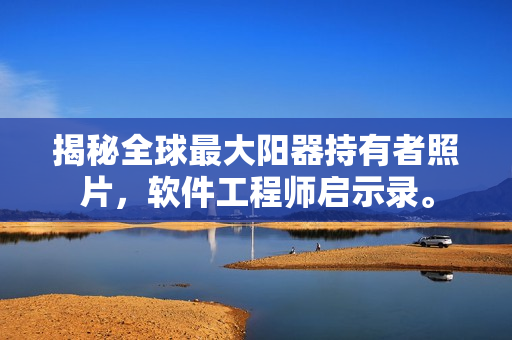 揭秘全球最大陽器持有者照片，軟件工程師啟示錄。