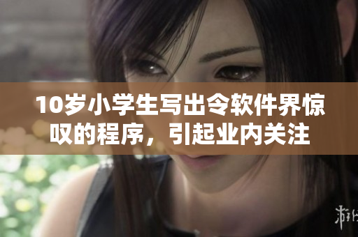 10歲小學(xué)生寫(xiě)出令軟件界驚嘆的程序，引起業(yè)內(nèi)關(guān)注