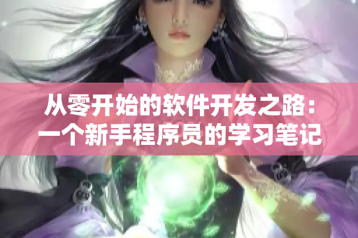 從零開(kāi)始的軟件開(kāi)發(fā)之路：一個(gè)新手程序員的學(xué)習(xí)筆記