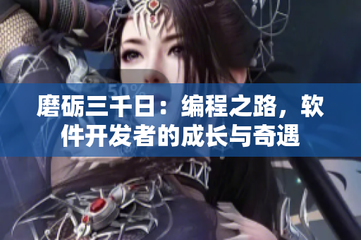 磨礪三千日：編程之路，軟件開發(fā)者的成長與奇遇