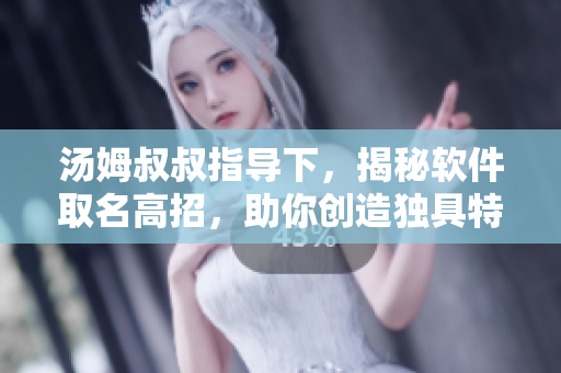 湯姆叔叔指導(dǎo)下，揭秘軟件取名高招，助你創(chuàng)造獨(dú)具特色的地域網(wǎng)名