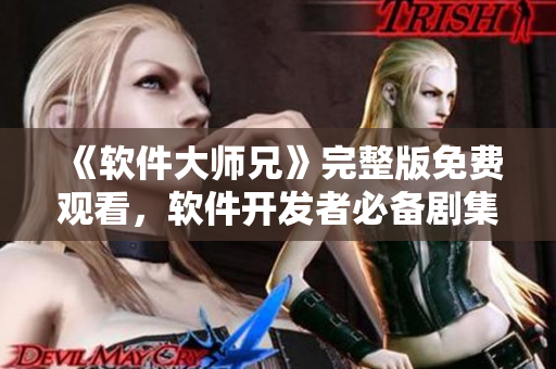《軟件大師兄》完整版免費觀看，軟件開發(fā)者必備劇集！